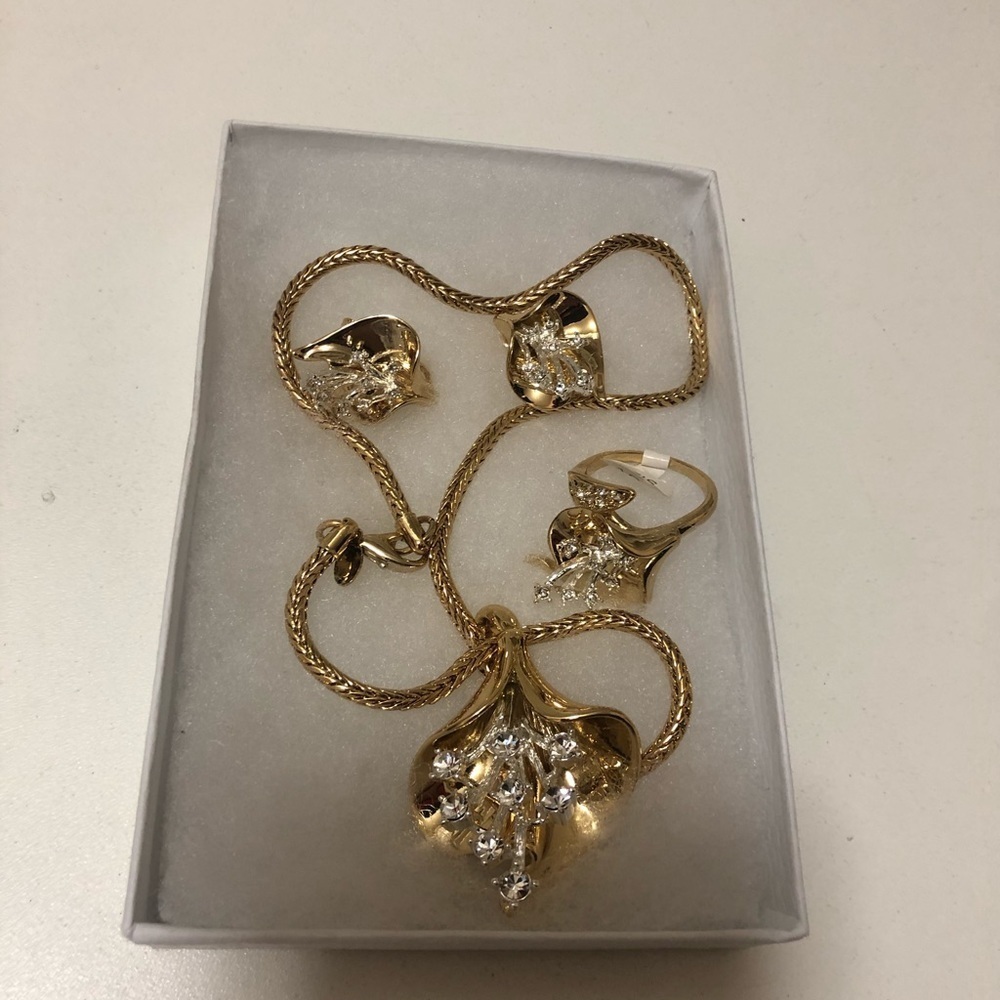 Set of jewelry Ring earring necklace & thick chain